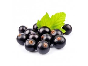 BLACKCURRANT SEED 800x800