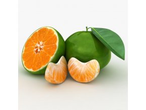 realistic green tangerine 3D model 0