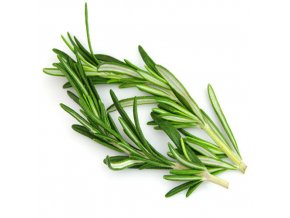 rosemary leave 500x500