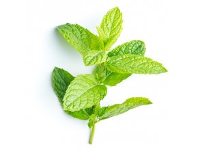 Peppermint Hydrosol Mentha piperita Hydrolat ProductPic