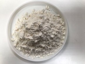 sucrose stearate
