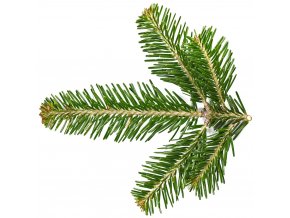 Silver Fir Needle Essential Oil Abies alba ProductPic