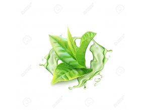 128524505 realistic green tea branch with water splash vector illustration