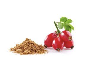RoseHip Peeling 100g