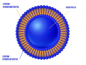 koenzym Q10 2