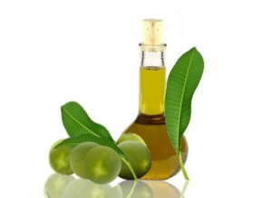 tamanu oil 1a