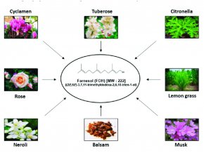 Various natural sources of farnesol