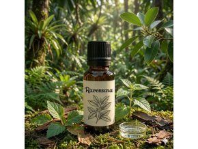 Ravensara