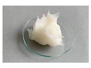 stažený soubor (21)