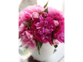 paeonia suffruticosa root extract