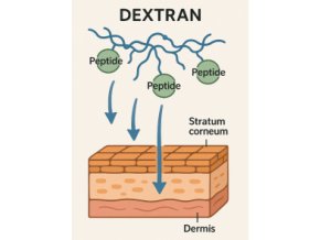 peptaxyl™ peptide delivery dextran