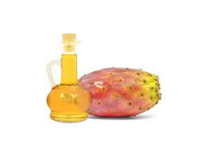 oil prickly pear white background 35358253