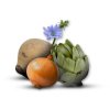 optimize your gut health with prebiotics like inulin 3