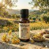 Helichrysum