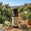 Labdanum PQ Absolute Oil Dilution