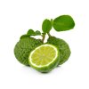 Bergamot 25a31084 1578 4cfb 9970 28c2733a98c0 2000x