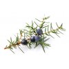 JUniper
