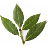 Laurel