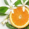 neroli orange 2000x