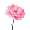 rose absolute rosa damascena select size 5ml 799 p