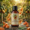 Papaya hydroextract