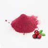 cranberry powder 6
