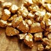 276 20 Oro Gold