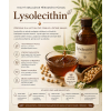 Lysolecithin fluid 2