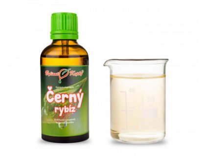 cerny rybiz tinktura z pupenu gemmoterapie 50 ml