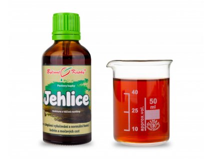 jehlice bylinne kapky tinktura 50 ml
