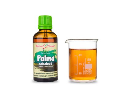 palma sabalova serenoa plaziva serenoa repens saw palmetto pavlovy bylinne kapky tinktura 50 ml