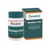 Himalaya Rumalaya forte - 60 tablet