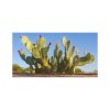 nopal flax (4)