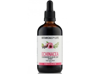 echinacea olivové lístky