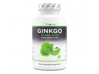 Vit4ever Ginkgo Biloba extrakt 6000 mg I Natureforlife.cz