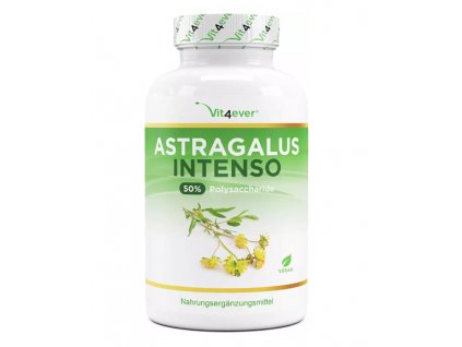 Vit4ever Astragalus extrakt | Natureforlife.cz