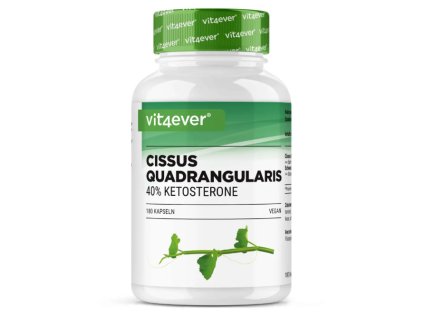 Vit4ever Cissus Intenso 40% ketosteronů | Natureforlife.cz