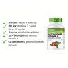 Vit4ever Acerola extrakt popis | Natureforlife.cz