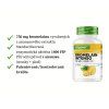Vit4ever Bromelain Intenso popis | Natureforlife.cz
