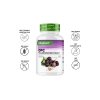 Vit4ever OPC Pure extrakt vlastnosti | Natureforlife.cz