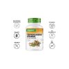 Vit4ever Ashwagandha Intenso - 750mg | 10% withanolides - 180 kapslí vlastnosti | Natureforlife.cz