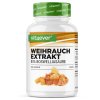 Vit4ever Boswellia serrata Extrakt 365 kapslí | Natureforlife.cz