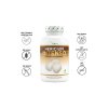 Vit4ever Hericium Intenso vlastnosti | Natureforlife.cz