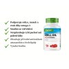 Vit4ever Krill Oil popis | Natureforlife.cz