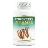 Vit4ever Cordyceps Intenso - 100% extrakt CS-4 - 180 kapslí