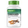 Vit4ever Cordyceps Intenso CS-4, 1300 mg