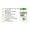 Vit4ever Ginkgo Biloba extrakt popis I Natureforlife.cz