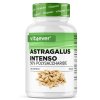 Vit4ever Astragalus extrakt | Natureforlife.cz