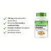 Vit4ever Astragalus extrakt popis | Natureforlife.cz