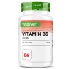 Vit4ever Vitamin B6 25 mg | Natureforlife.cz